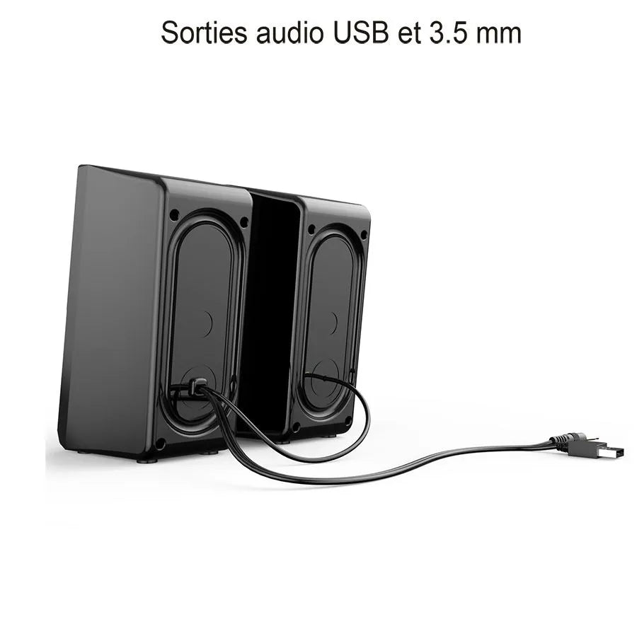 Haut-parleurs rétroéclairés RVB pour ordinateur - USB/3.5 mm - 10 W - Noir - Paire