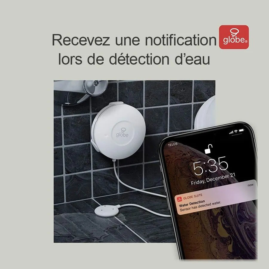 Détecteur de fuite d'eau intelligent Wi-Fi à batterie
