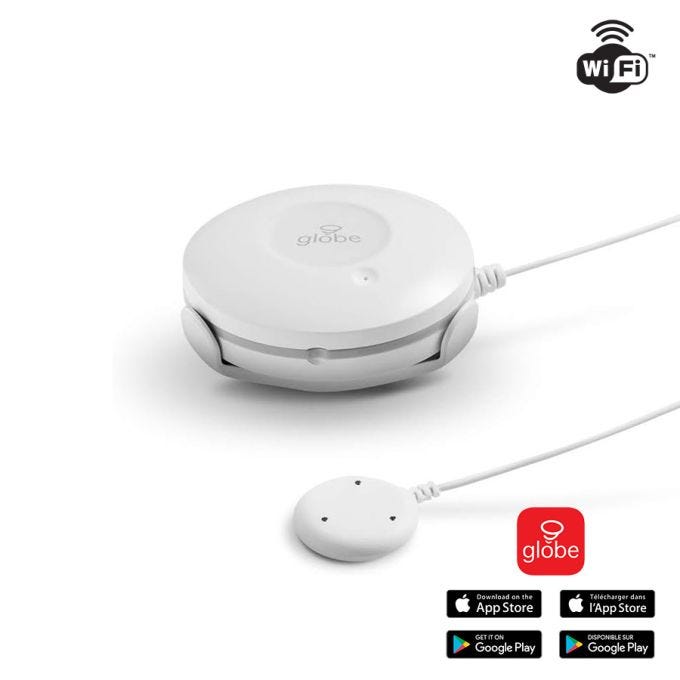 Détecteur de fuite d'eau intelligent Wi-Fi à batterie