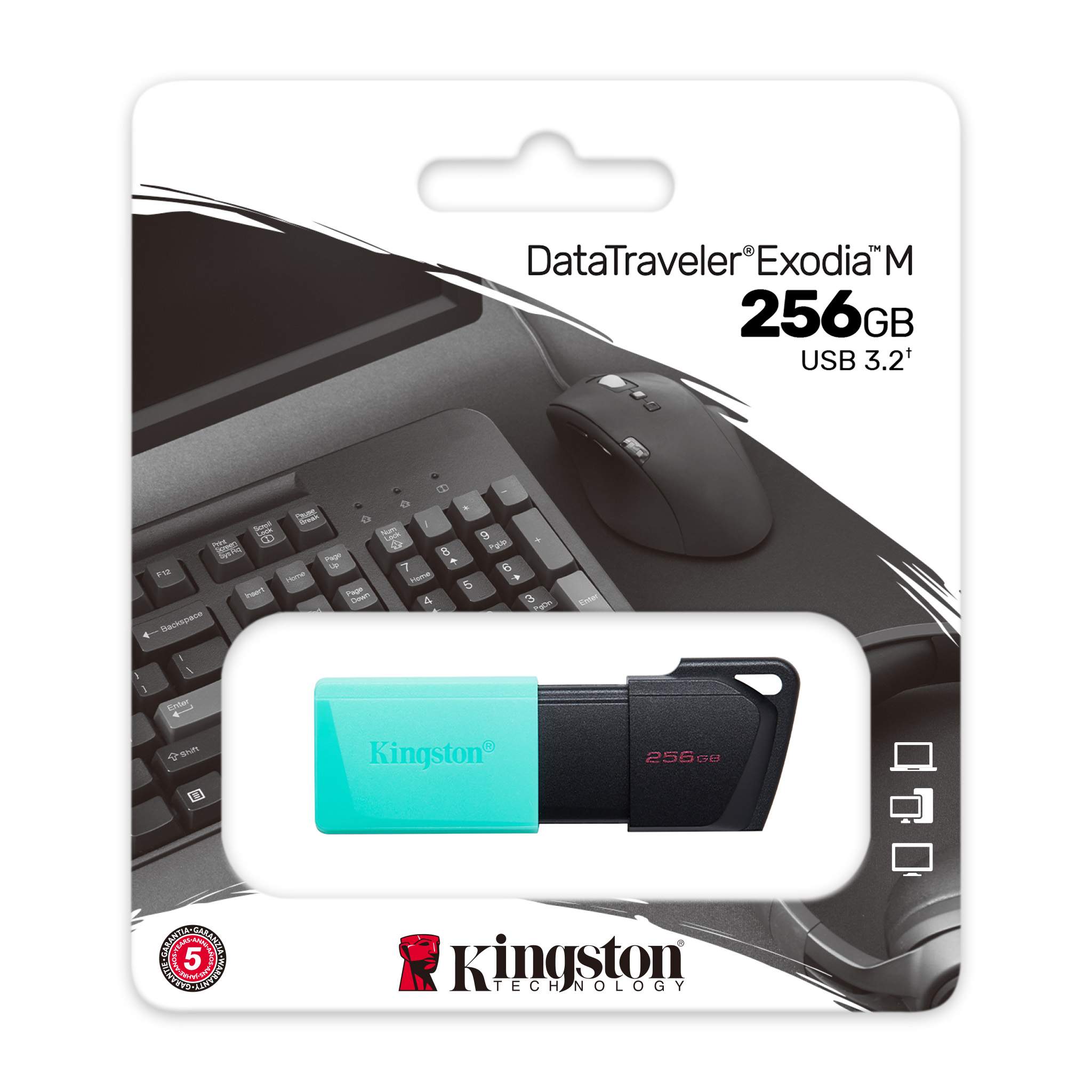 Clé USB Kingston DataTraveler® Exodia M 256Go USB 3.2 Gen 1