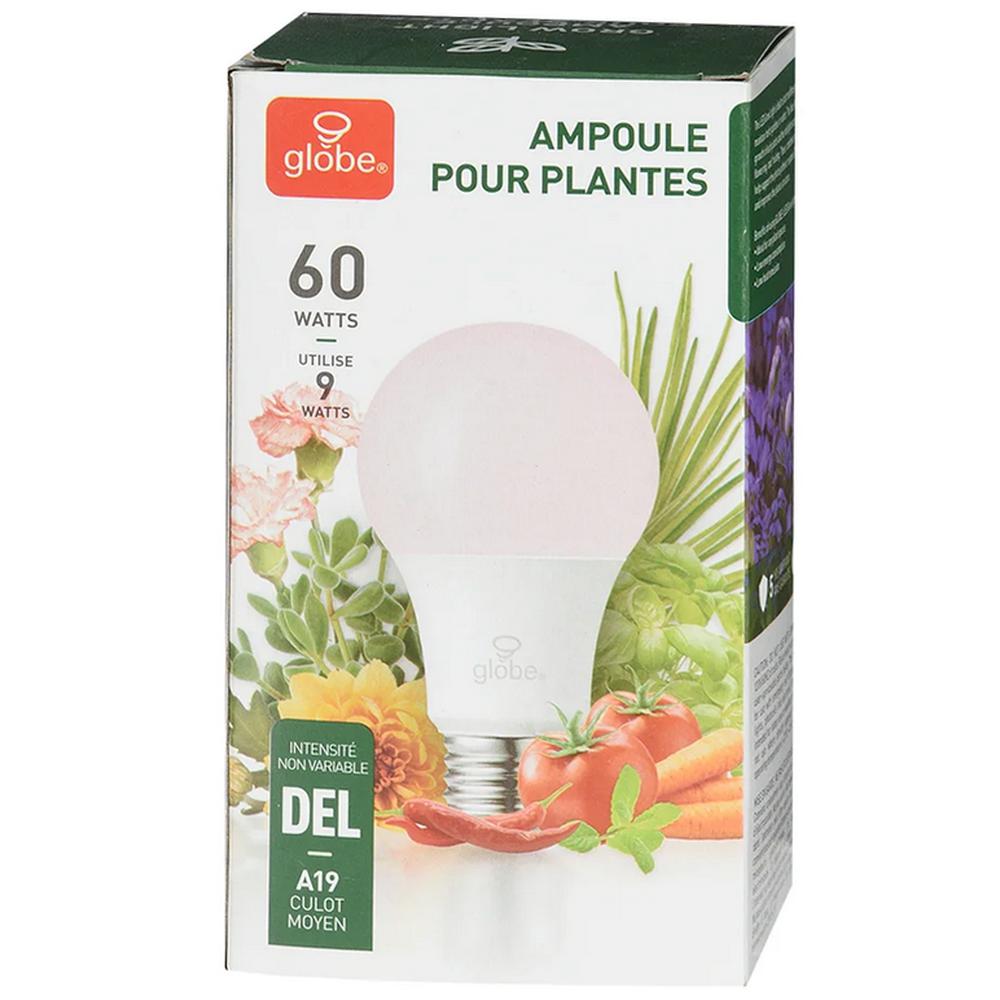Ampoule DEL A19 9W pour plantes