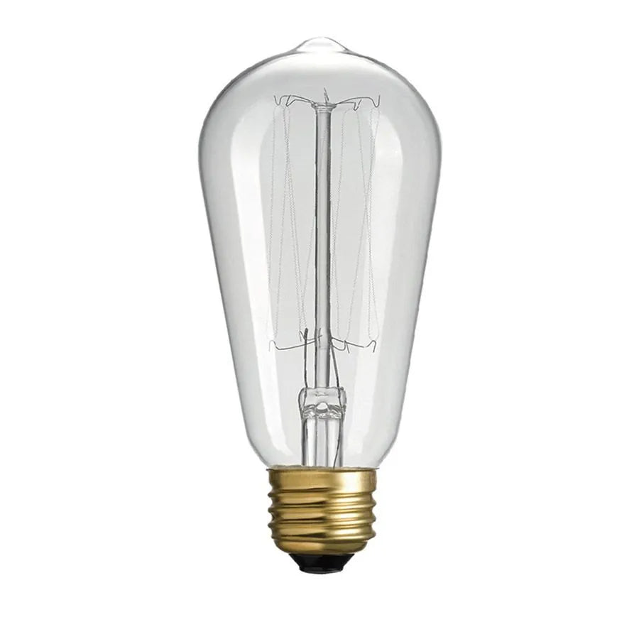 Ampoule incandescente graduelle à filament Globe - S60 - 40W - E26 - 2700K