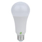 Ampoule LED A21 non-graduelle 19W 3000K par Greenlite
