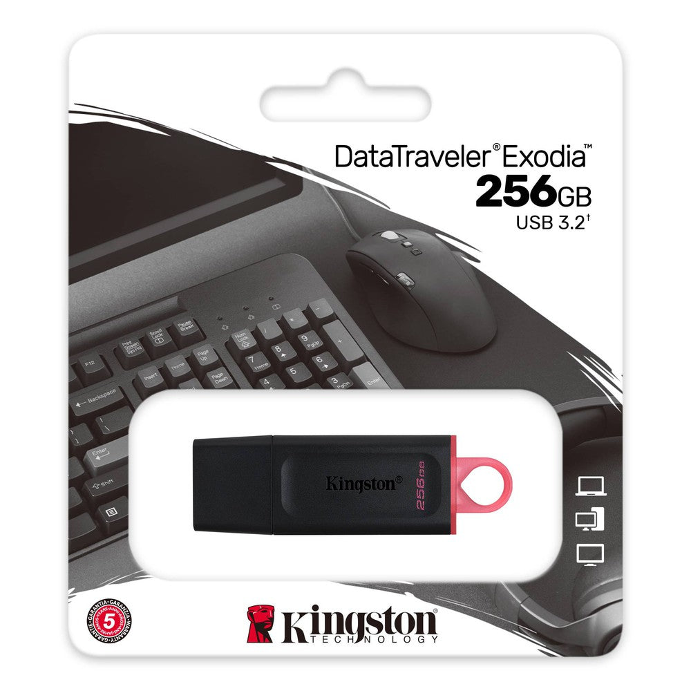 Clé USB Kingston DataTraveler® Exodia 256Go USB 3.2